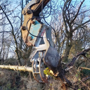 TREE SHEAR
