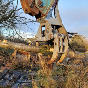 TREE SHEAR