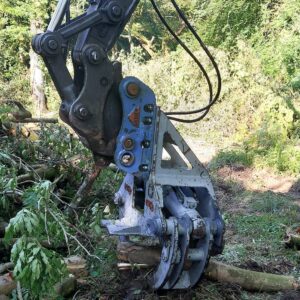 TREE SHEAR